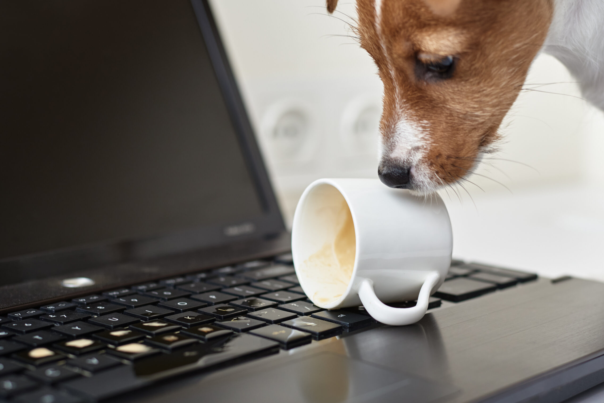 Teclado dañado por café
